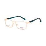 MONTURA DE METAL PARA CABALLERO CACTUS LR911 - Imagen 4